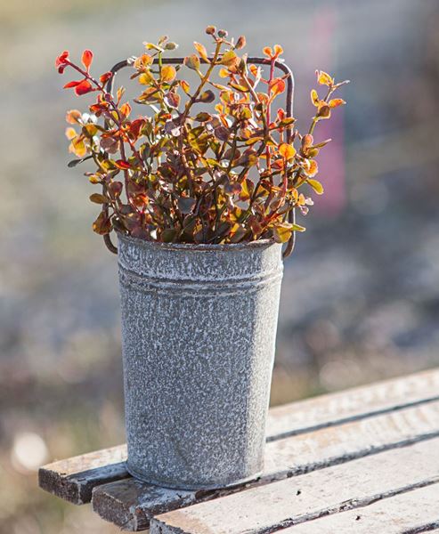 Picture of Washed Galvanized Bucket with Handle