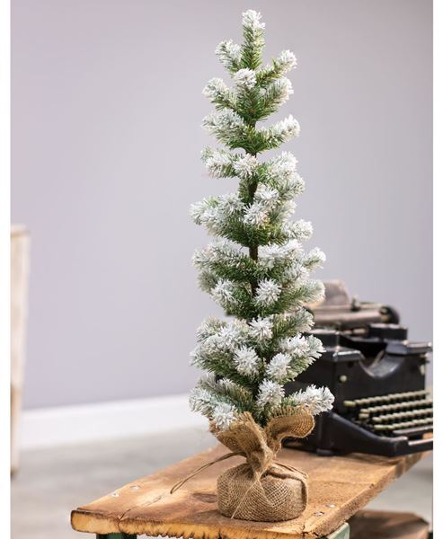 Picture of Snow Tipped Pine Tree, 24"