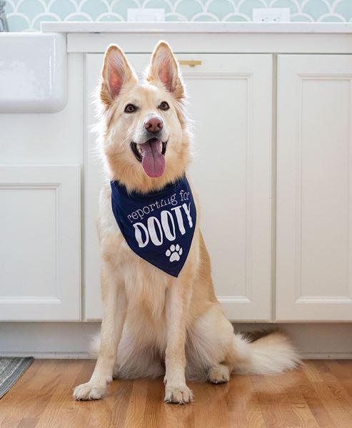 Picture of Reporting for Dooty Doggie Bandana