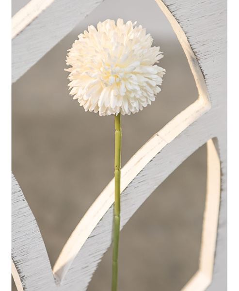 Picture of Pompom Stem, White