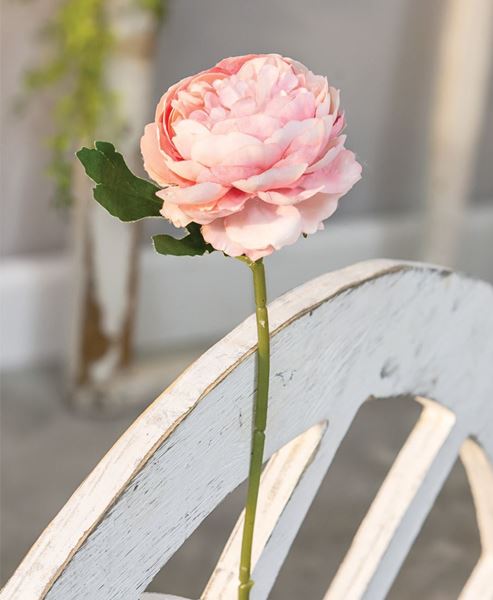 Picture of Peony Stem, Blush