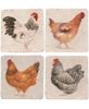 Picture of Rooster Resin Coasters, 4/Set