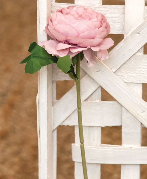 Picture of Pink Peony Stem