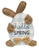 Picture of Hello Spring Huggy Bunny Sitter