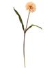 Picture of Ball Chrysanthemum Spray, Peach, 29"