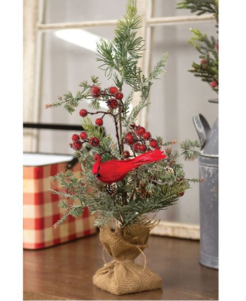 Picture of Mountain Berry Pine Tree with Cardinal