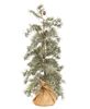 Picture of Weeping Pine Tree with Burlap Base, 30"