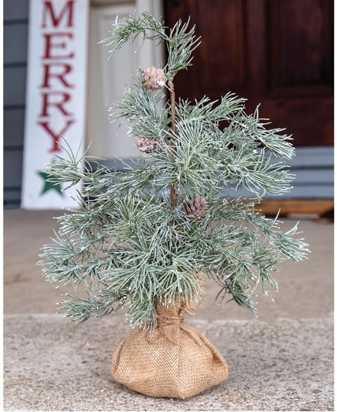 Picture of Weeping Pine Tree, 18"