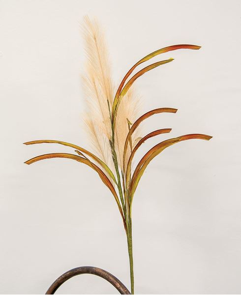 Picture of Natural Pampas Spray, 31" H