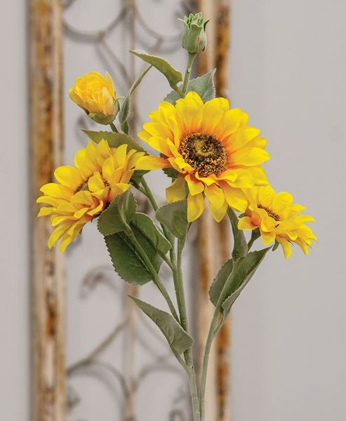 Picture of Sunflower Blooms Spray, Yellow