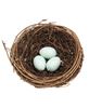 Picture of Twig & Vine Bird Nest w/Blue Eggs, 5.5"