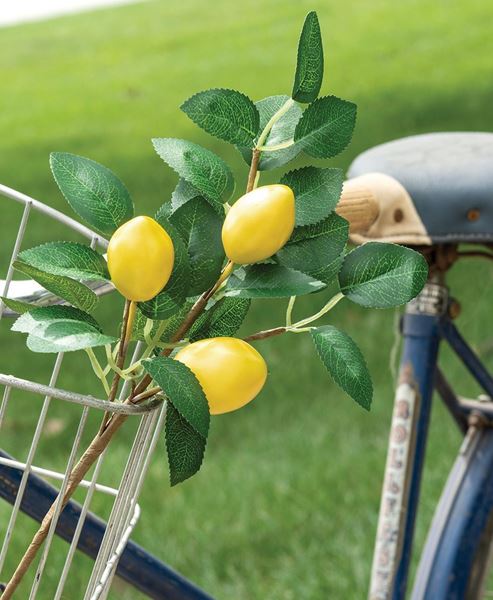 Picture of Fresh Picked Lemon Spray