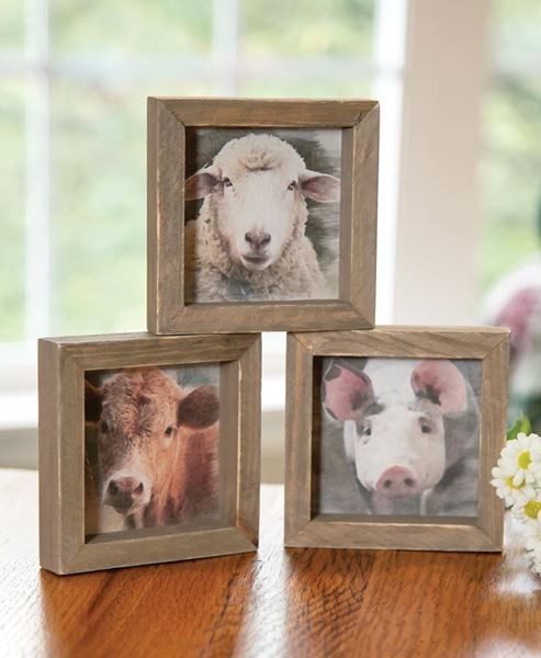 Picture of Farm Animal Mini Portrait Frame, 3 Asstd.