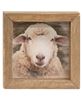 Picture of Farm Animal Mini Portrait Frame, 3 Asstd.