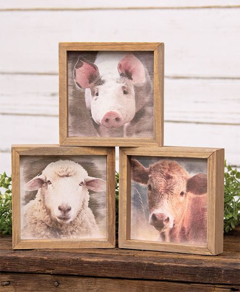 Picture of Farm Animal Portrait Frame, 3 Asstd.