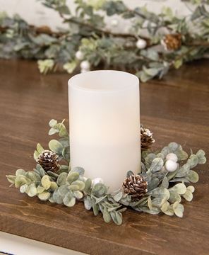 http://colhouse.fdgweb.com/images/thumbs/0012453_holiday-ombre-boxwood-candle-ring-35_360.jpeg