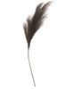 Picture of Weeping Pampas Grass Branch, Gray