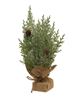 Picture of Frosted Woodland Cedar Tree w/Burlap Base, 12"