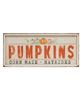 Picture of Pumpkins Corn Maze Hayrides Metal Sign