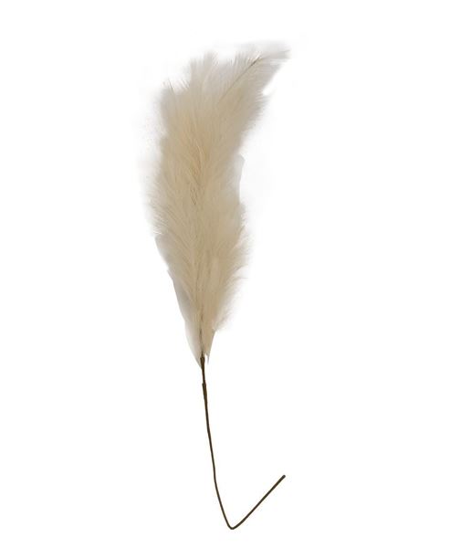 Picture of Pampas Grass Spray, 45", Cream