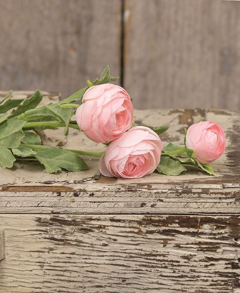 Picture of Lenten Rose Spray, Light Pink